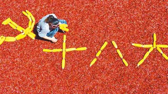 河南省内黄县赵庄村村民用红辣椒和玉米拼制成党旗图案，表达对十八大召开的殷切期盼和对国家的祝福之情。