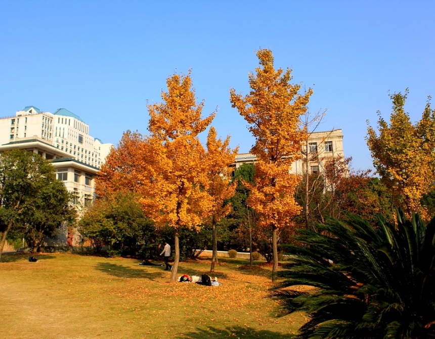 Beautiful Campus Of Wuhan University Chinaorgcn