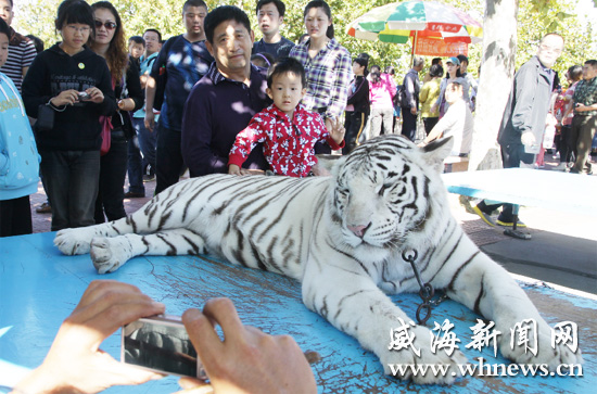 Holiday tourists swarm scenic spots in Shandong