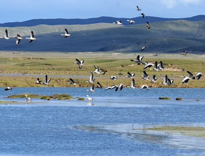 China launched a fund on Monday to protect its far-western Sanjiangyuan nature reserve, the source of the country's major rivers.[File photo]