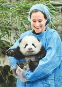 Rebecca and panda cub Oreo. [newssc.org] 