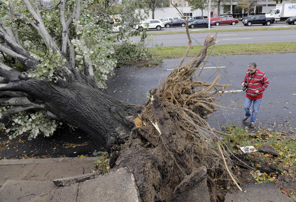 Residents examine a downed tree caused by Hurricane Sandy on the Roosevelt Blvd in Philadelphia, Pennsylvania, October 30, 2012. [Agencies] 