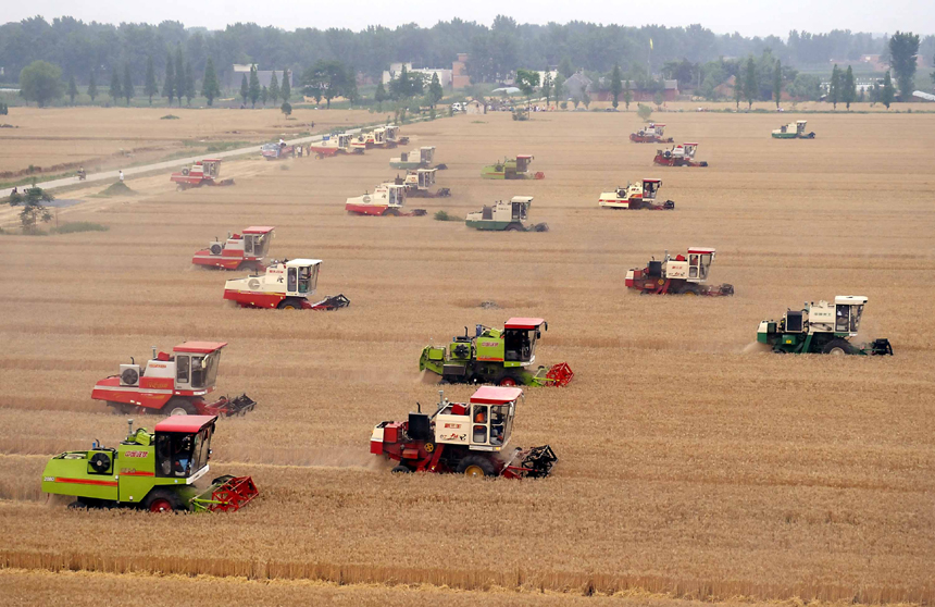 The total grain output is expected to exceed 12 billion kg in Shanxi Province this year, setting a new record, according to the provincial agricultural department. [Xinhua photo] 