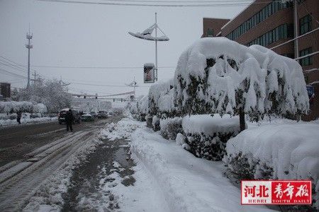 Heavy snows hit many places in north China, including Beijing and Hebei, over the weekends.