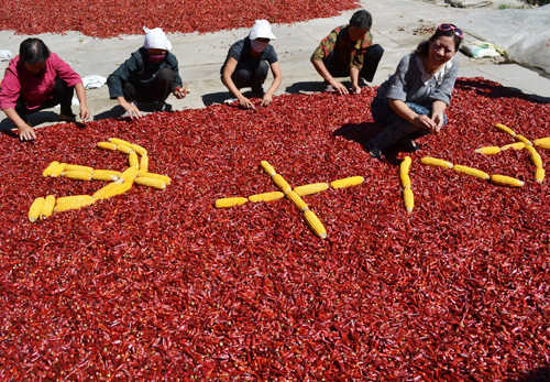 Farmers in Neihuang County, central China's Henan Province, arrange red peppers and corn into the flag of the Communist Party of China before the opening of the 18th National Congress of the Party [Liu Xiaokun]