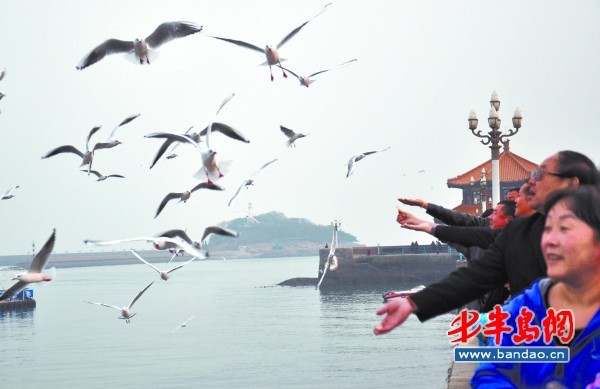 Zhanqiao Pier in Qingdao