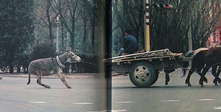 An animal-drawn vehicle travels on the road.