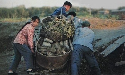 School graduates are working in the countryside.