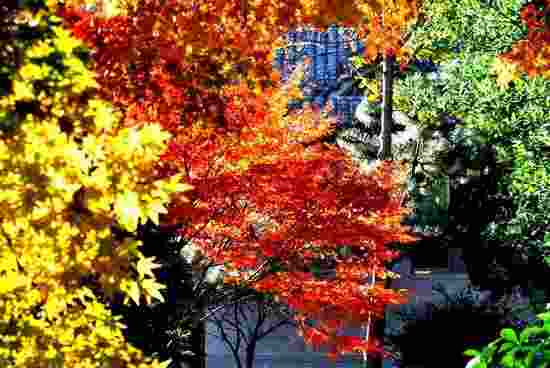 Mount Laoshan