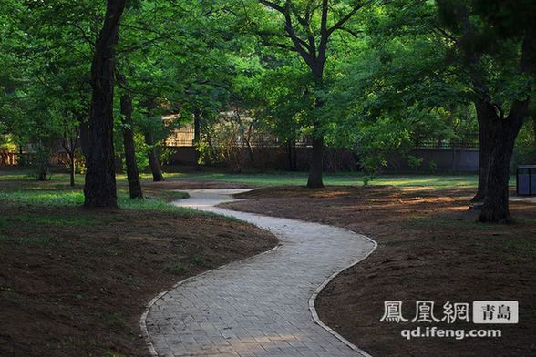 Eight Passes in Qingdao