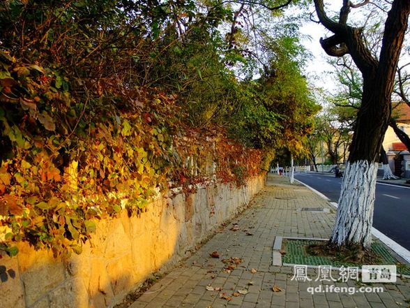 Eight Passes in Qingdao