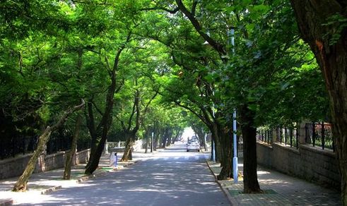 Eight Passes in Qingdao