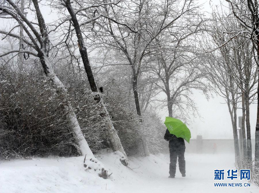 A cold front sweeps across China&apos;s northern region, bringing strong winds and big snowfall in Changchun, Jilin Province on Dec. 3. Local governments reminded residents to make full preparation for the extreme weather. 