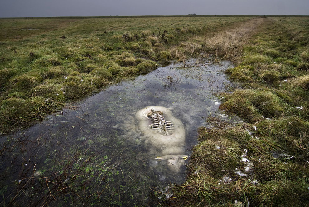 世界上最恐怖的沼泽图片