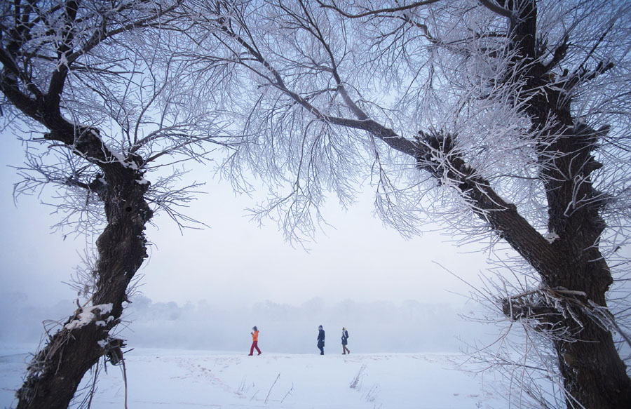 The rime landscape is a unique weather phenomenon which occurs along the Songhua River in Jilin of China’s Jilin Province. Affected by the low temperature and fog, rime can usually be spotted across Jilin's waterfront every winter. It's considered one of the most wonderful natural sights in China. [Wei Yao/Beijing Review]