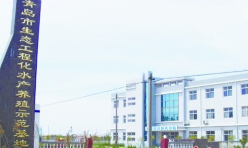 504ha tidal flats of Jiaonan turned into eco-industrial base