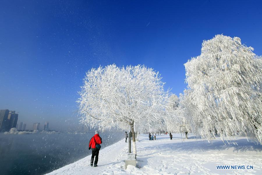 #CHINA-JILIN-RIME(CN)