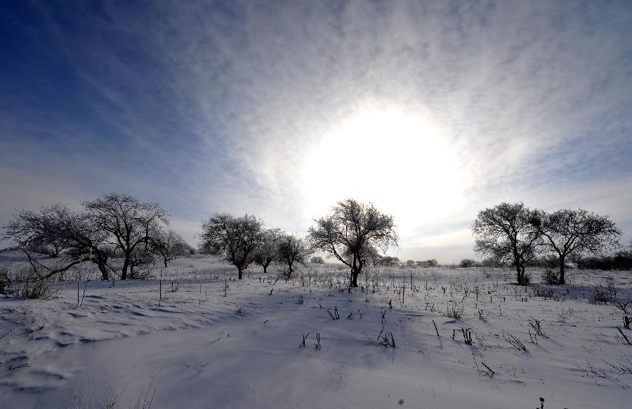 Photo taken on Dec. 17, 2012 shows the scenery of rime in Zhenglan Banner of north China's Inner Mongolia Autonomous Region.