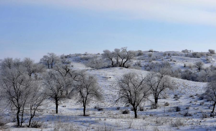 Photo taken on Dec. 17, 2012 shows the scenery of rime in Zhenglan Banner of north China's Inner Mongolia Autonomous Region.