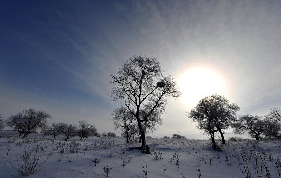 Photo taken on Dec. 17, 2012 shows the scenery of rime in Zhenglan Banner of north China's Inner Mongolia Autonomous Region.