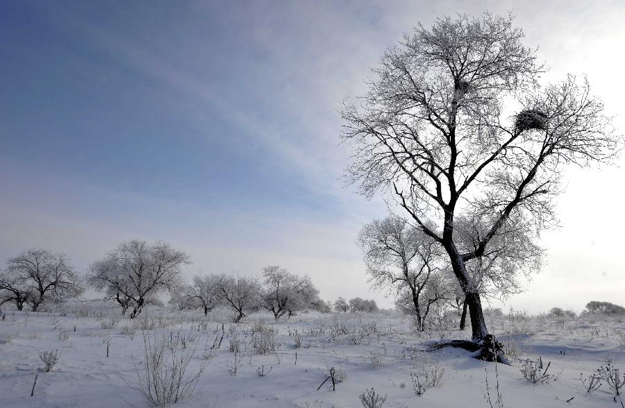 Photo taken on Dec. 17, 2012 shows the scenery of rime in Zhenglan Banner of north China's Inner Mongolia Autonomous Region.