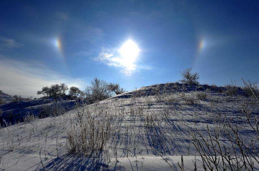 Photo taken on Dec. 17, 2012 shows the scenery of rime in Zhenglan Banner of north China's Inner Mongolia Autonomous Region.