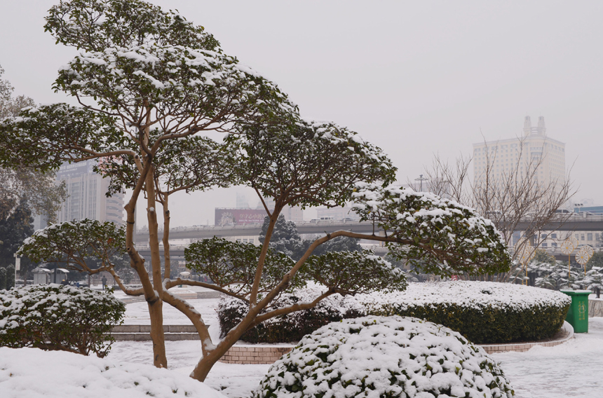 Heavy snow fall hits Zhengzhou, capital city of Henan Province, on Dec. 20, 2012. [Xinhua photo] 