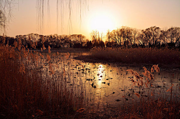 Best known for its summer allure, The Summer Palace in Beijing shows another side of its beauty in the silence of winter as shown in this group of photos taken in early December. [Xinhua photo] 