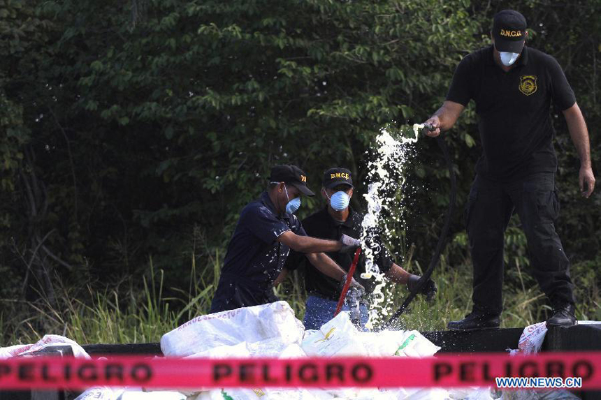 Members of the National Drug Control (DNCD, for it&apos;s acronym in Spanish) of the Dominican Republic participate in a drug burning at the Pedro Brand municipality, in Santo Domingo, Dominican Republic, on Dec. 20, 2012. According to the DNCD, 3,240 kg of pure cocaine, 325 kg and 766 marijuana plants, 15 kg of heroin and 4 kg of crack were burned on Thursday. The drugs were seized in the past five months in Santo Domingo. 