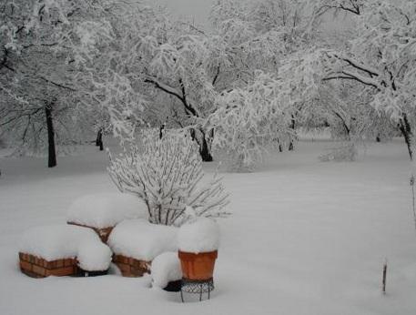 A major winter storm system has swept through the southern United States, spawning tornadoes in several states and killing 3 people in weather-related accidents.