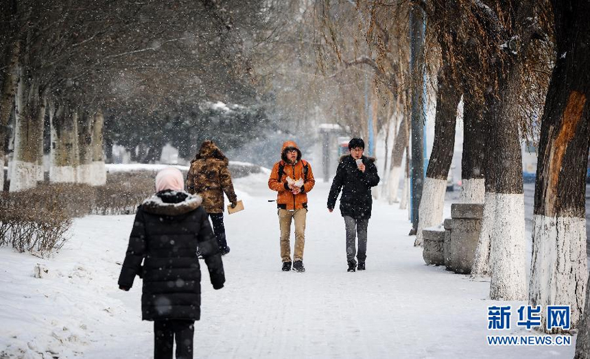 Pedestrians walk in snow on a street in Changchun, capital of northeast China&apos;s Jilin Province, Dec. 28, 2012. Most parts of Jilin on Friday saw a snowfall, which would be followed by a significant temperature drop on Saturday. 