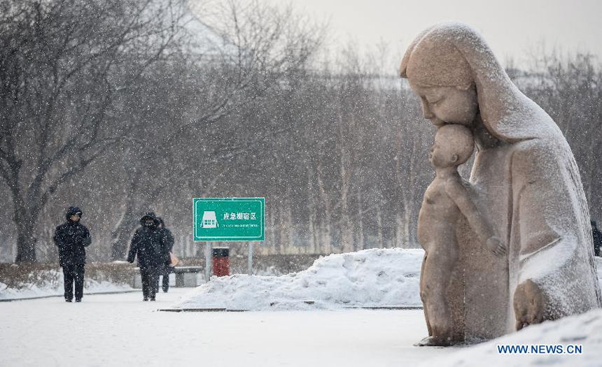 Pedestrians walk in snow on a street in Changchun, capital of northeast China&apos;s Jilin Province, Dec. 28, 2012. Most parts of Jilin on Friday saw a snowfall, which would be followed by a significant temperature drop on Saturday. 