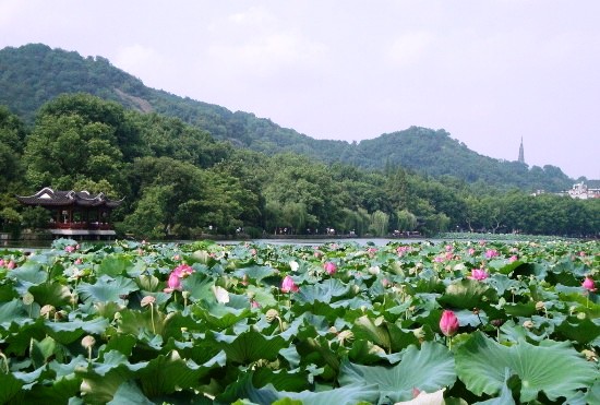 Hangzhou, one of the 'Top 10 best tourist destinations of China in 2012' by China.org.cn