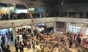 Zigong Dinosaur Museum has one of the world's largest dinosaur fossil collections. Xiao Mi / for China Daily 