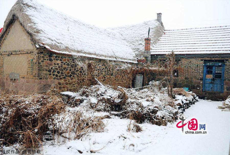 Photo taken on Jan. 4, 2012 shows the Yanduanjiao Village in Rongcheng Swan Lake in East China's Shandong province. Yandujiao Village is a paradise for the white swans that migrate here every December to April. [China.org.cn] 