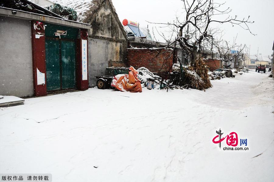 Photo taken on Jan. 4, 2012 shows the Yanduanjiao Village in Rongcheng Swan Lake in East China's Shandong province. Yandujiao Village is a paradise for the white swans that migrate here every December to April. [China.org.cn] 