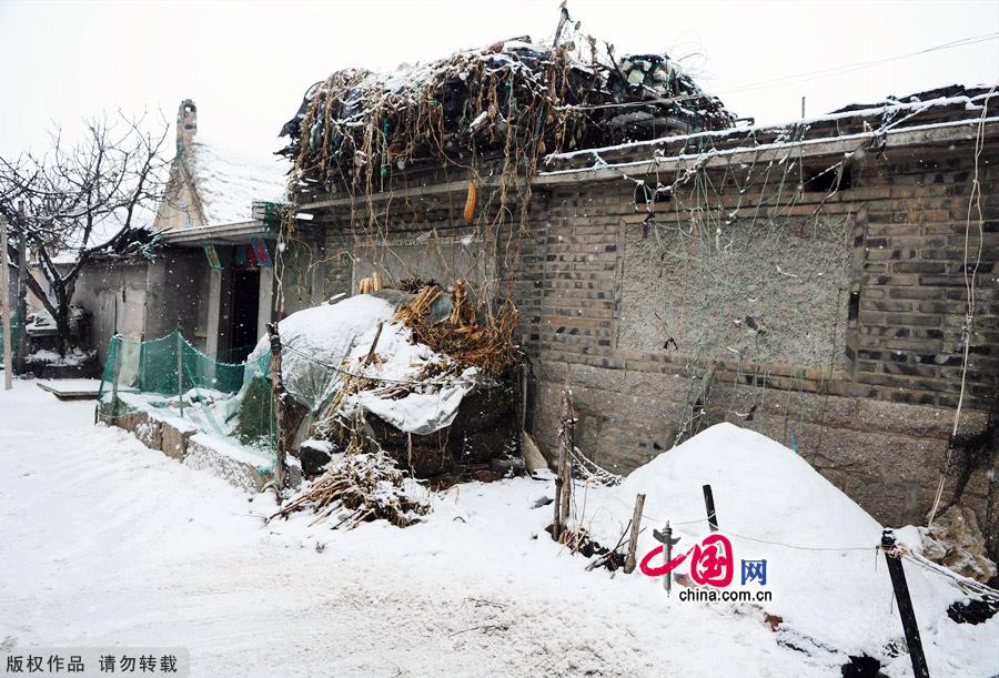 Photo taken on Jan. 4, 2012 shows the Yanduanjiao Village in Rongcheng Swan Lake in East China's Shandong province. Yandujiao Village is a paradise for the white swans that migrate here every December to April. [China.org.cn] 