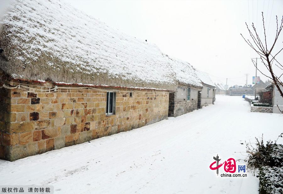 Photo taken on Jan. 4, 2012 shows the Yanduanjiao Village in Rongcheng Swan Lake in East China's Shandong province. Yandujiao Village is a paradise for the white swans that migrate here every December to April. [China.org.cn] 