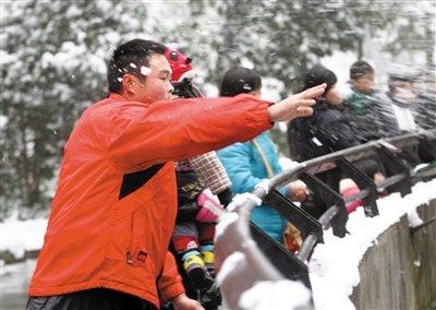 A visitor throws snowballs at a pair of African lions at a zoo in Hangzhou, capital of east China's Zhejiang Province on Saturday, January 5, 2013. [Photo/Beijing News]
