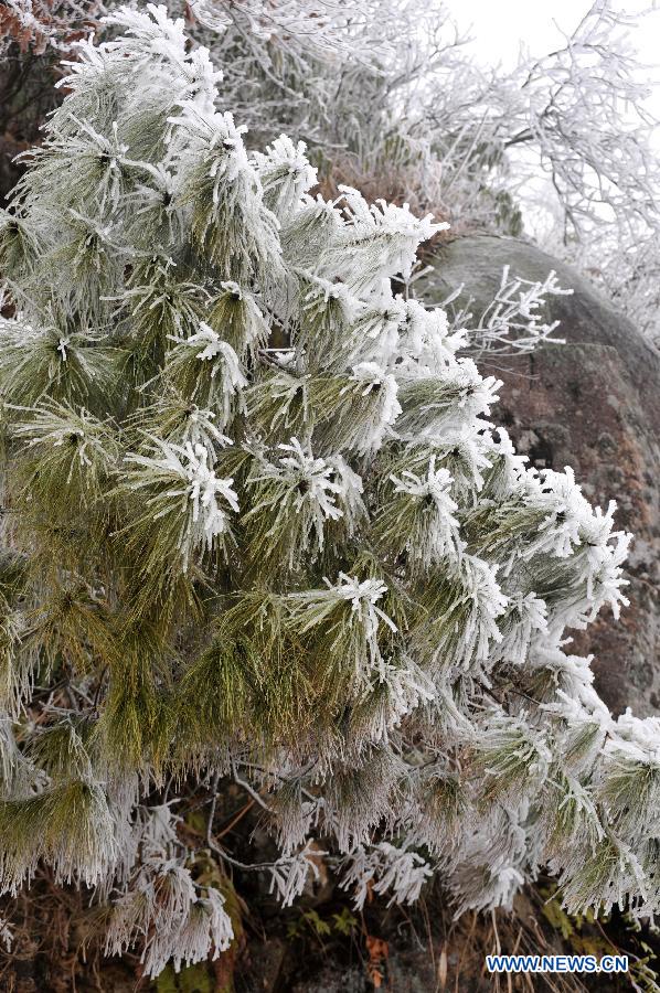 CHINA-GUANGXI-MAO'ER MOUNTAIN-WINTER SCENERY (CN) 