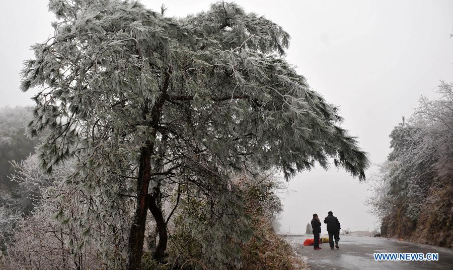 CHINA-GUANGXI-MAO'ER MOUNTAIN-WINTER SCENERY (CN) 