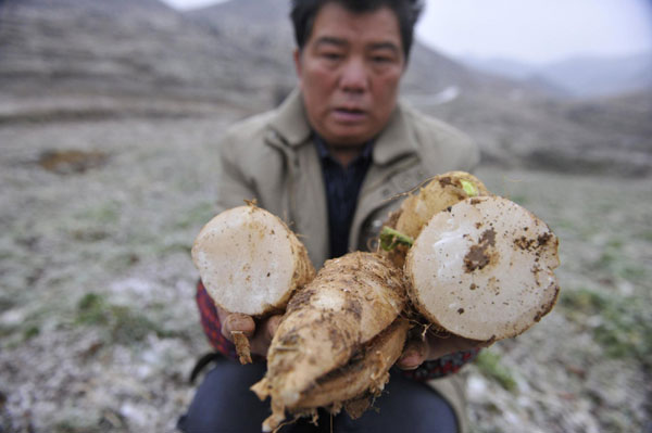 Cold snap affects 379,000 in SW China's Guizhou