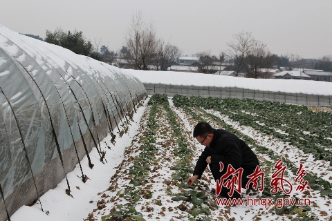 2 missing in continuing S. China freeze
