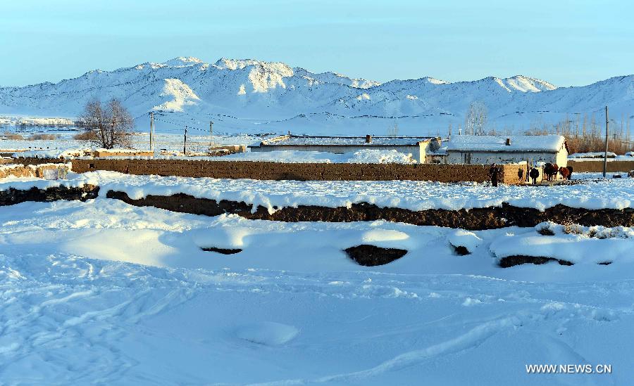 Photo taken on Jan. 8, 2013 shows the beautiful snow scenery of Qagan Gol Town in Qinghe County, northwest China's Xinjiang Uygur Autonomous Region.