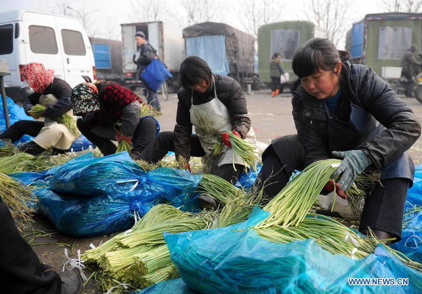 Workers sort vegetable at the Xinfadi farm products whole sale market in Beijing, China, Jan. 10, 2013. Farm produce prices in China climbed for the tenth straight week during the seven days ending Jan. 6, as cold weather has cut supplies, figures from the Ministry of Commerce showed on Jan. 9. The wholesale price of 18 types of vegetables monitored across 36 major cities gained 7.1 percent from the previous week, the ministry said.