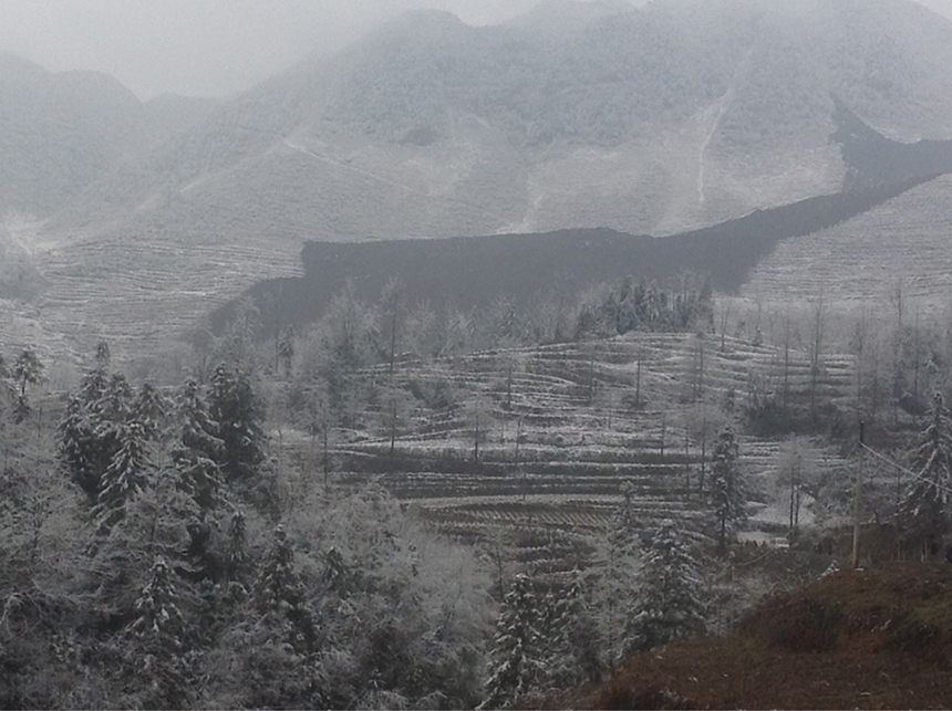 A landslide occurred around 8 am Friday morning, burying 16 households in Gaopo Village, Zhaotong City, Yunnan Province. More than 10 residential houses with over 40 people were buried after the landslide, according to local officials. 