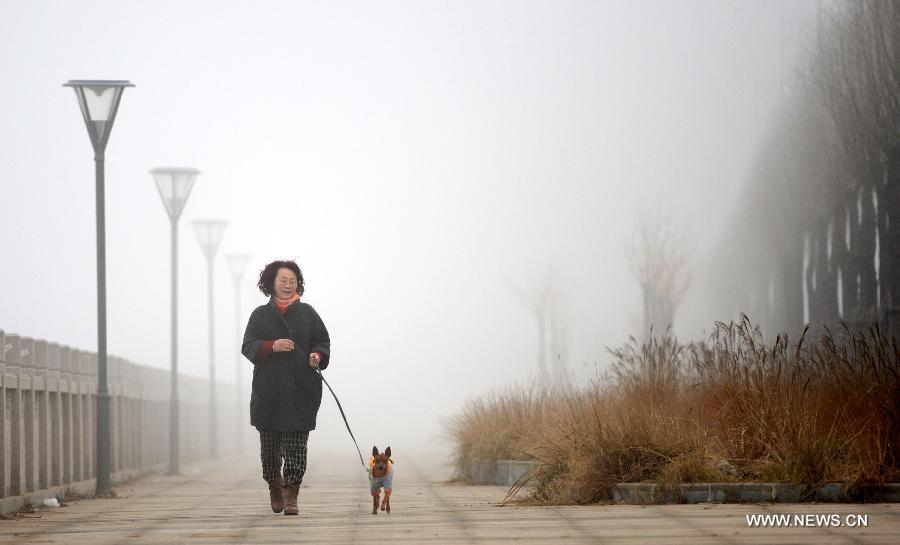 A citizen walks her dog amid dense fog in Nanchang City, capital of east China&apos;s Jiangxi Province, Jan. 12, 2013. A fog hit many parts of Jiangxi on Saturday.