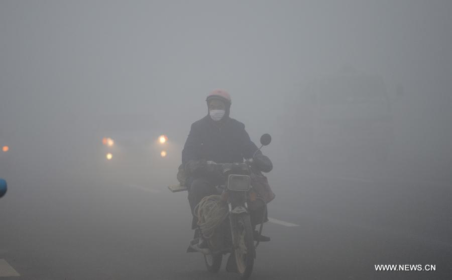 A citizen rides amid dense fog in Nanchang City, capital of east China&apos;s Jiangxi Province, Jan. 12, 2013. A fog hit many parts of Jiangxi on Saturday.