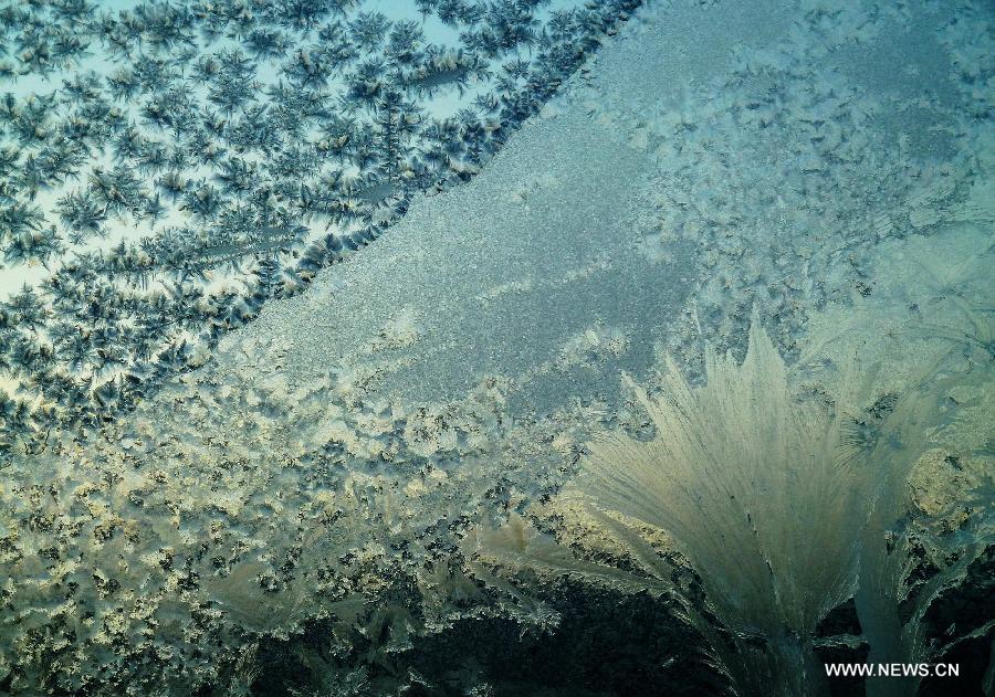 #CHINA-HEILONGJIANG-HUMA-FROST FLOWERS (CN) 