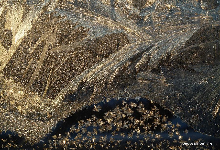 #CHINA-HEILONGJIANG-HUMA-FROST FLOWERS (CN) 